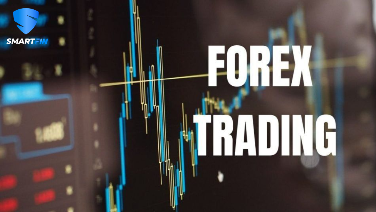 Demo vs Live Forex Account in the UAE: When Are You Ready?